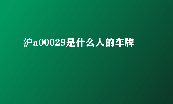 沪a00029是什么人的车牌