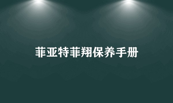 菲亚特菲翔保养手册