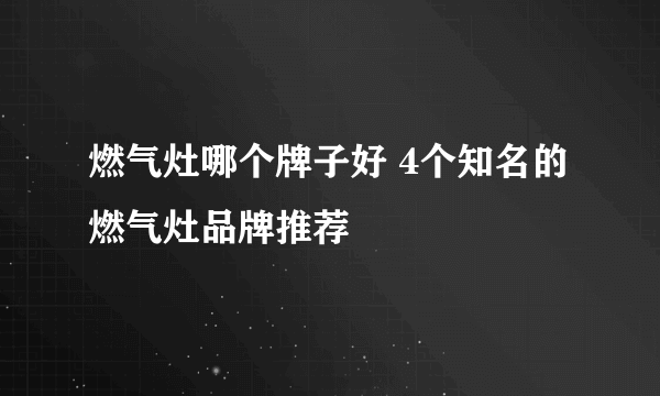 燃气灶哪个牌子好 4个知名的燃气灶品牌推荐