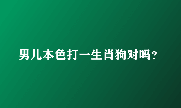 男儿本色打一生肖狗对吗？