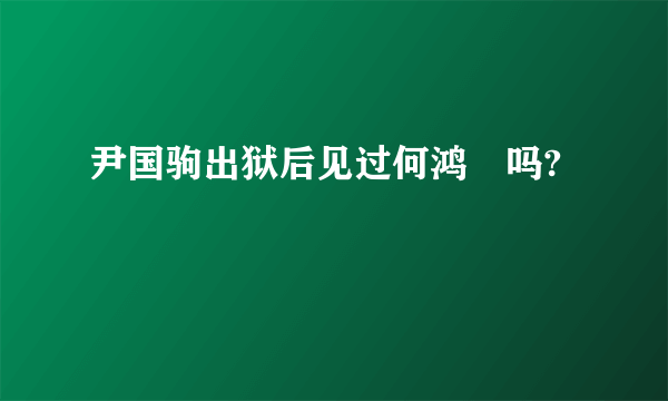 尹国驹出狱后见过何鸿燊吗?