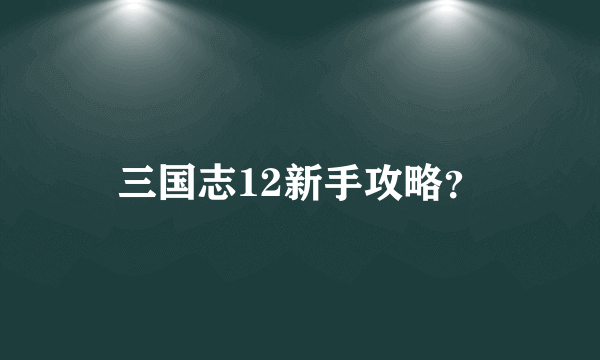 三国志12新手攻略？