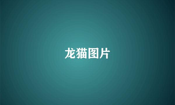 龙猫图片