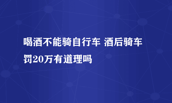 喝酒不能骑自行车 酒后骑车罚20万有道理吗