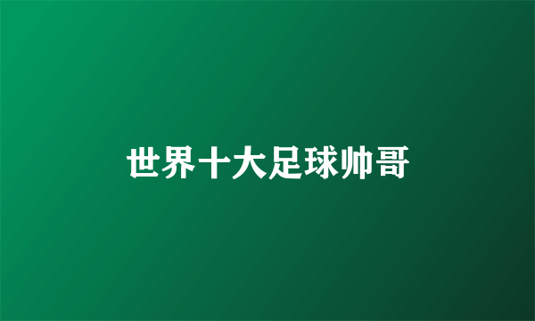 世界十大足球帅哥