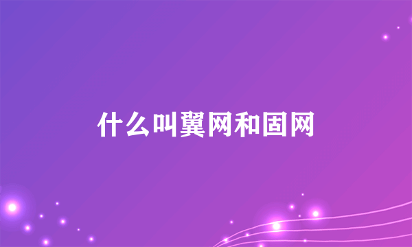 什么叫翼网和固网