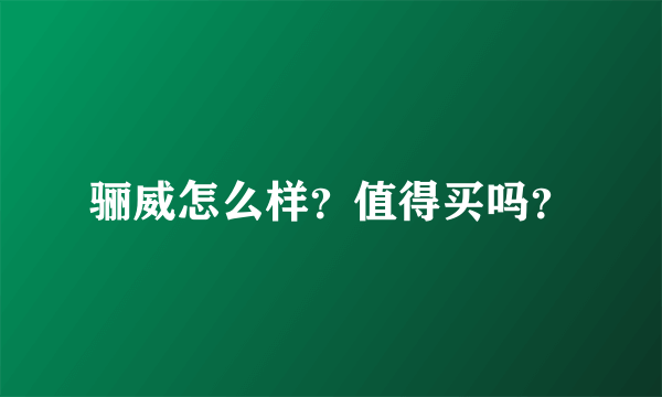 骊威怎么样？值得买吗？