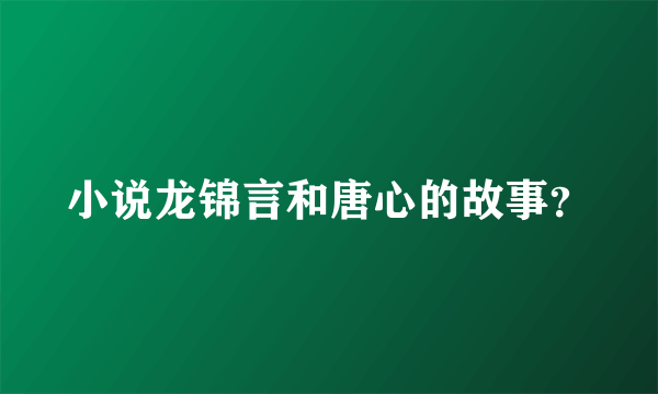 小说龙锦言和唐心的故事？