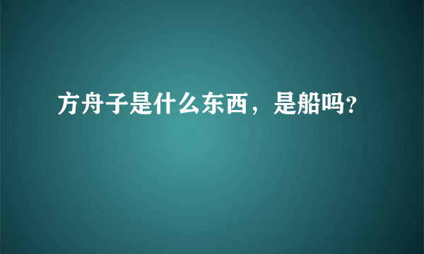 方舟子是什么东西，是船吗？
