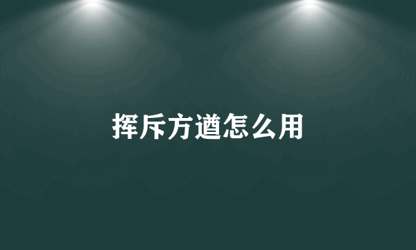 挥斥方遒怎么用