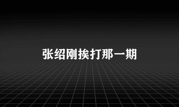 张绍刚挨打那一期