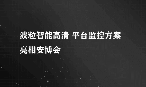 波粒智能高清 平台监控方案亮相安博会