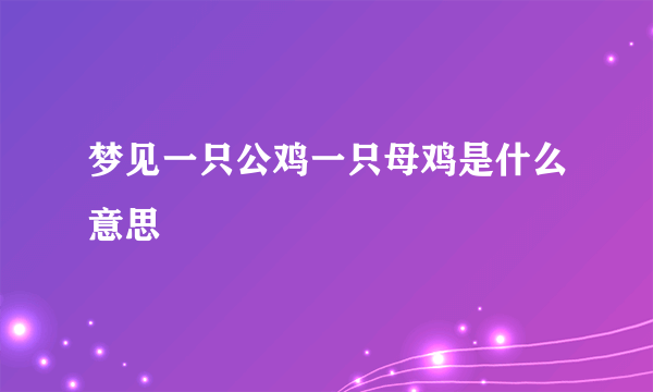梦见一只公鸡一只母鸡是什么意思