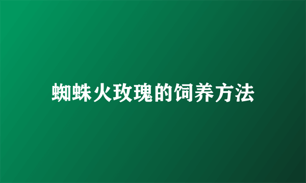 蜘蛛火玫瑰的饲养方法