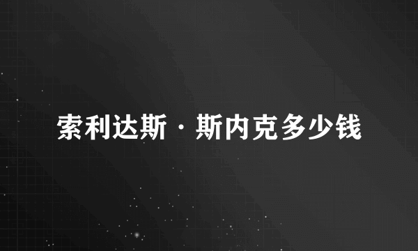 索利达斯·斯内克多少钱