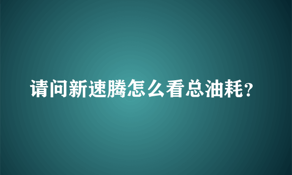 请问新速腾怎么看总油耗？