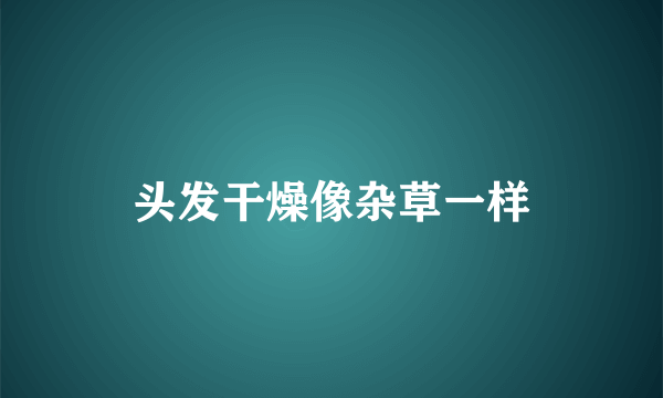 头发干燥像杂草一样