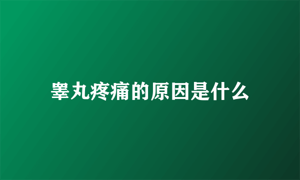 睾丸疼痛的原因是什么