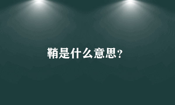鞘是什么意思？