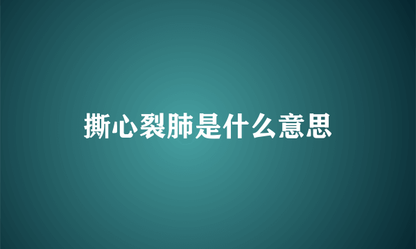 撕心裂肺是什么意思