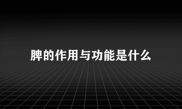脾的作用与功能是什么