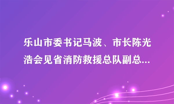 乐山市委书记马波、市长陈光浩会见省消防救援总队副总队长喻平文一行