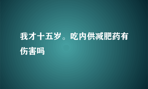我才十五岁。吃内供减肥药有伤害吗