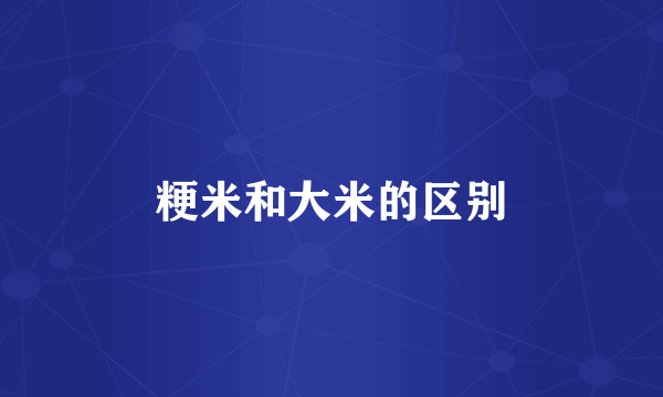 粳米和大米的区别