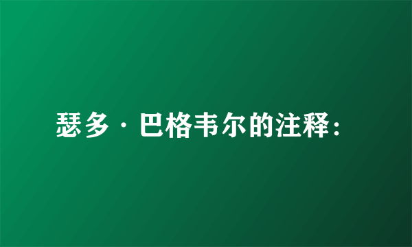 瑟多·巴格韦尔的注释：