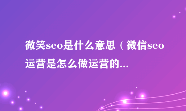 微笑seo是什么意思（微信seo运营是怎么做运营的）-飞外网