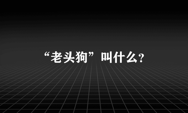 “老头狗”叫什么？