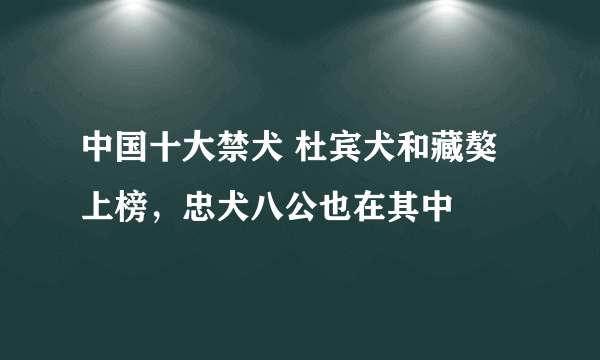 中国十大禁犬 杜宾犬和藏獒上榜，忠犬八公也在其中
