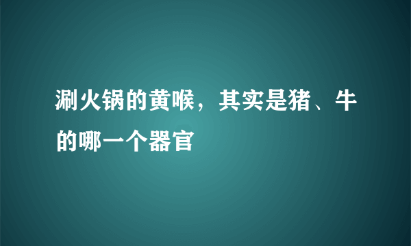 涮火锅的黄喉，其实是猪、牛的哪一个器官