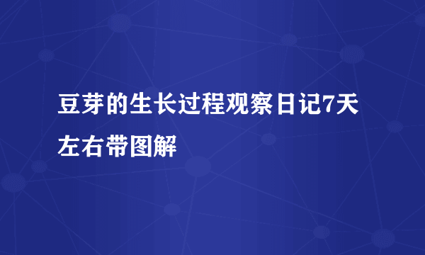 豆芽的生长过程观察日记7天左右带图解