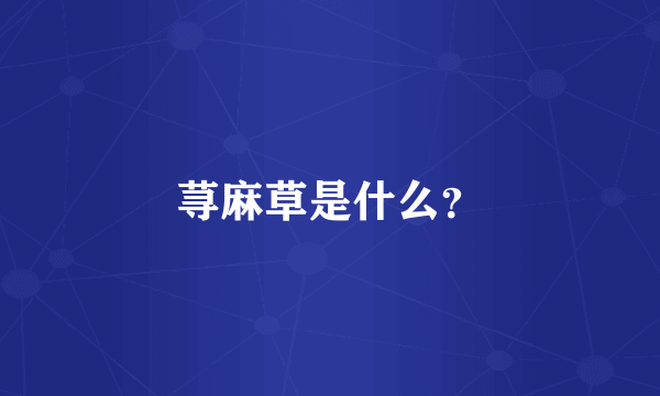 荨麻草是什么？