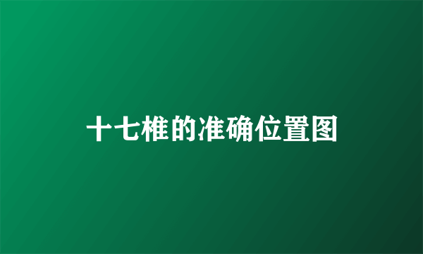十七椎的准确位置图