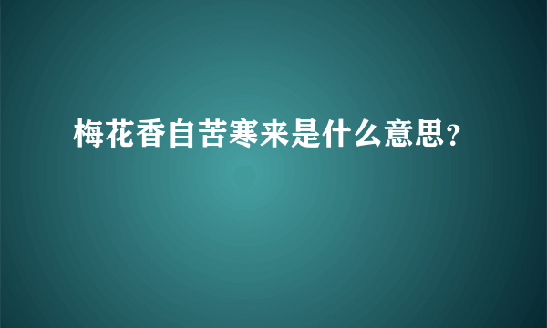梅花香自苦寒来是什么意思？