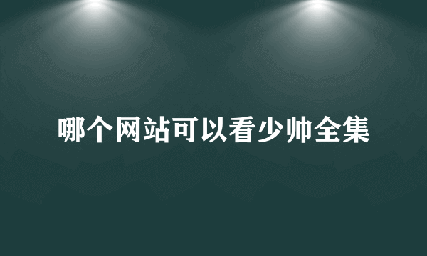 哪个网站可以看少帅全集