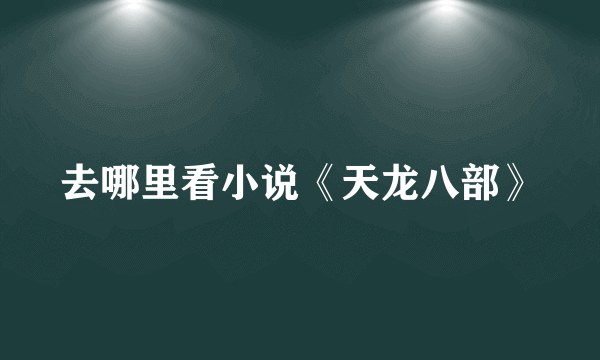 去哪里看小说《天龙八部》