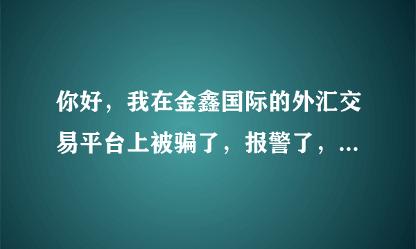 你好，我在金鑫国际的外汇交易平台上被骗了，报警了，有用吗?我该怎么处理下去？