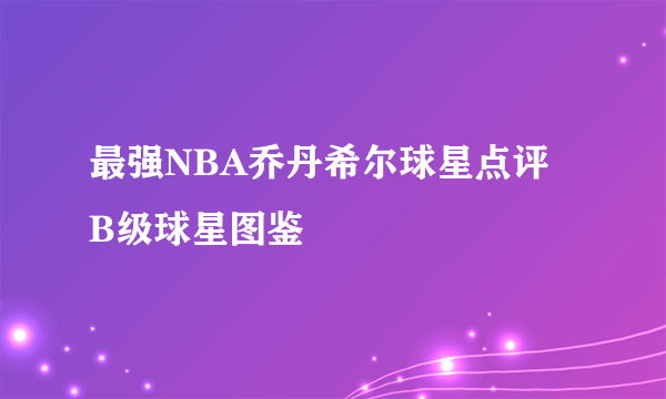 最强NBA乔丹希尔球星点评 B级球星图鉴