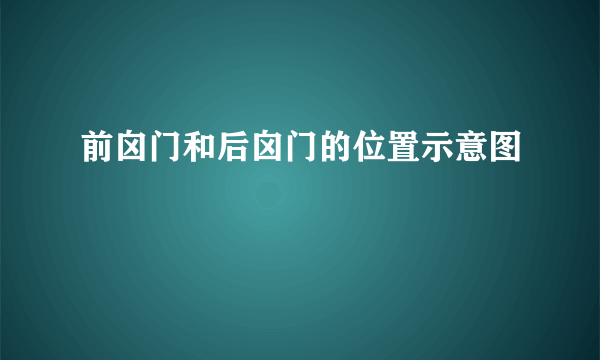 前囟门和后囟门的位置示意图
