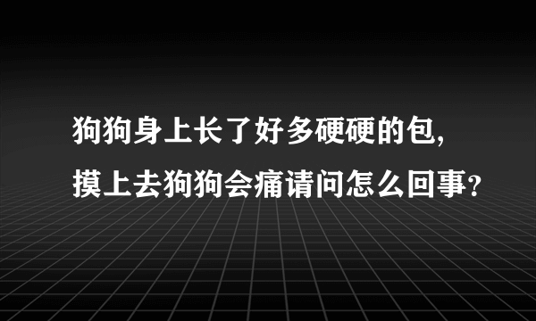 狗狗身上长了好多硬硬的包,摸上去狗狗会痛请问怎么回事？