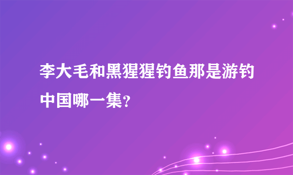 李大毛和黑猩猩钓鱼那是游钓中国哪一集？