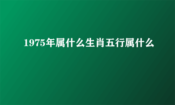 1975年属什么生肖五行属什么