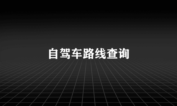 自驾车路线查询
