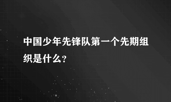 中国少年先锋队第一个先期组织是什么？