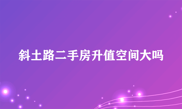 斜土路二手房升值空间大吗