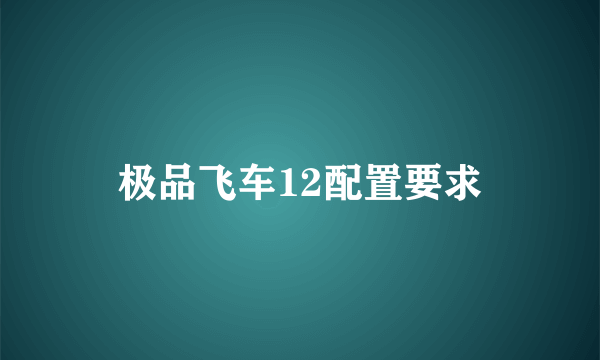 极品飞车12配置要求
