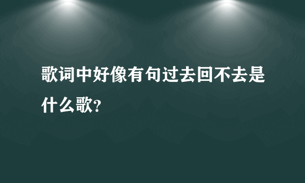 歌词中好像有句过去回不去是什么歌？
